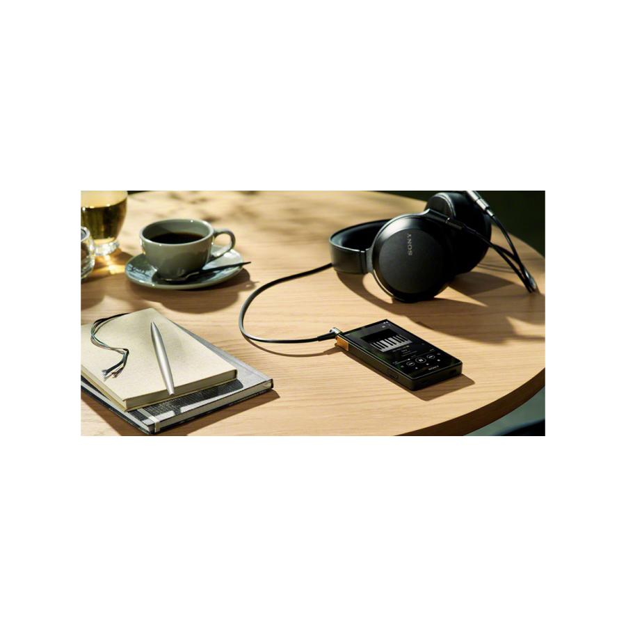 SONY（ソニー） ウォークマン 64GB ZXシリーズ NW-ZX707 ハイエンド