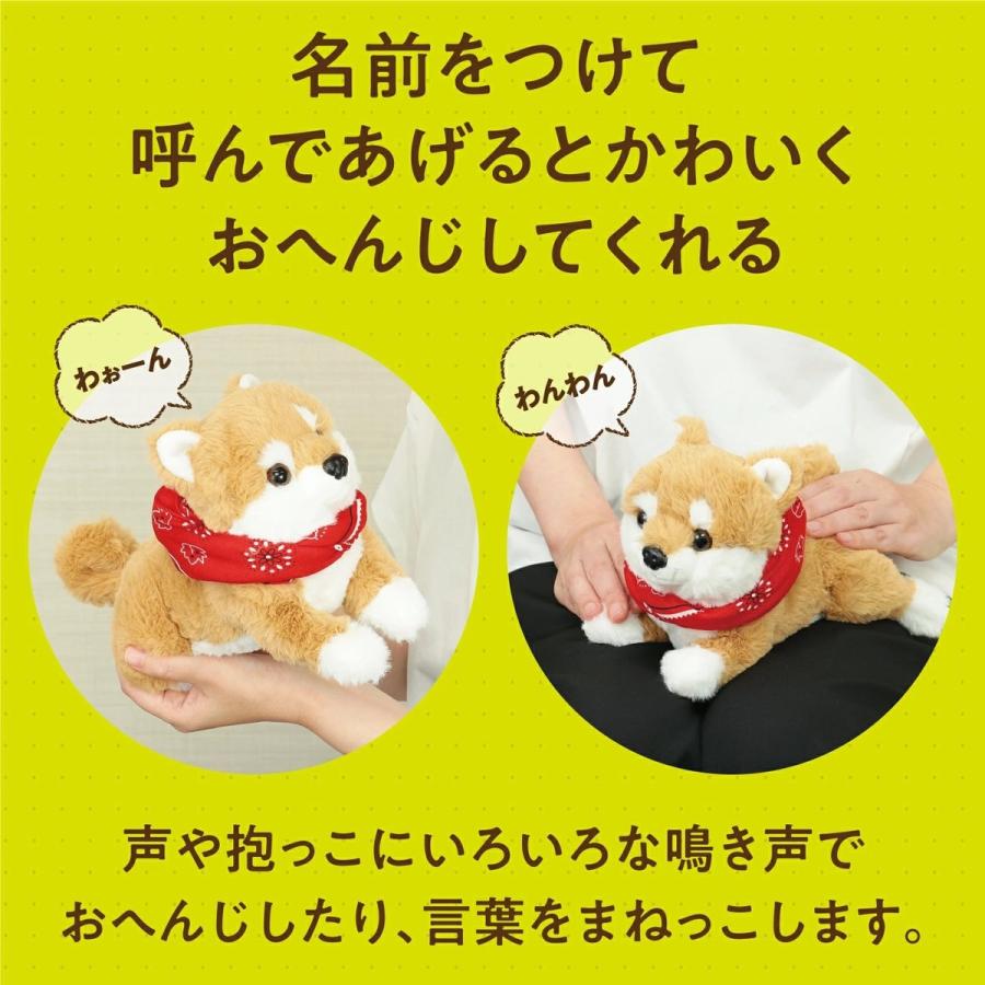 アーテック 音声認識 ぬいぐるみ おへんじアニマル2 柴犬 おしゃべり