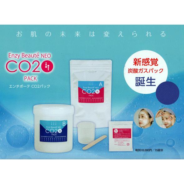 高濃度炭酸ガスパック リンゴ果実幹細胞エキス 海藻成分 ラクトン処方