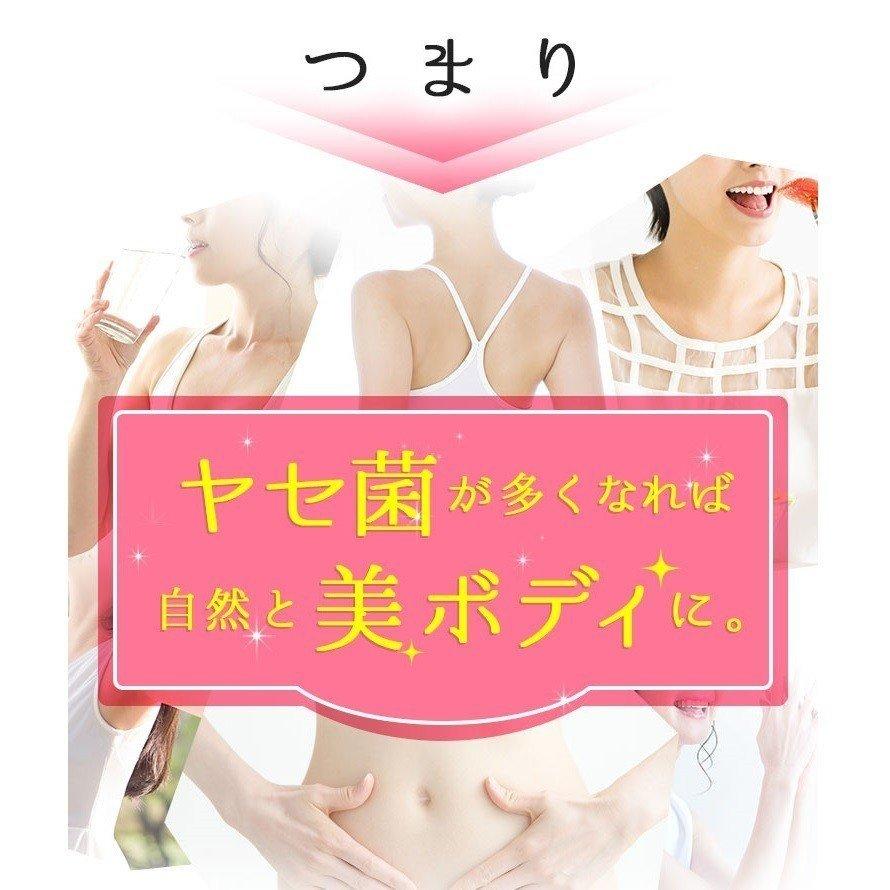 フロルフロラ FLOR FURORA 30粒 ダイエット サプリメント : GANTS FOOD