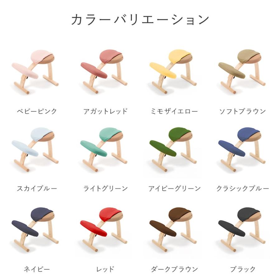 バランスラボ バランスチェア バランスチェアー バランスイージー