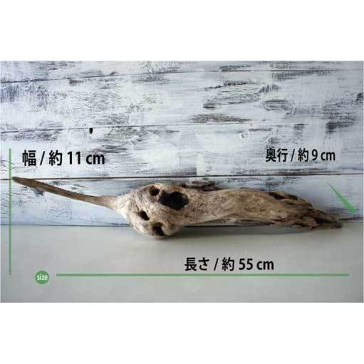 流木 爬虫類 登り木 あく抜き処理 煮沸消毒済 トカゲ ヤモリ ケージ