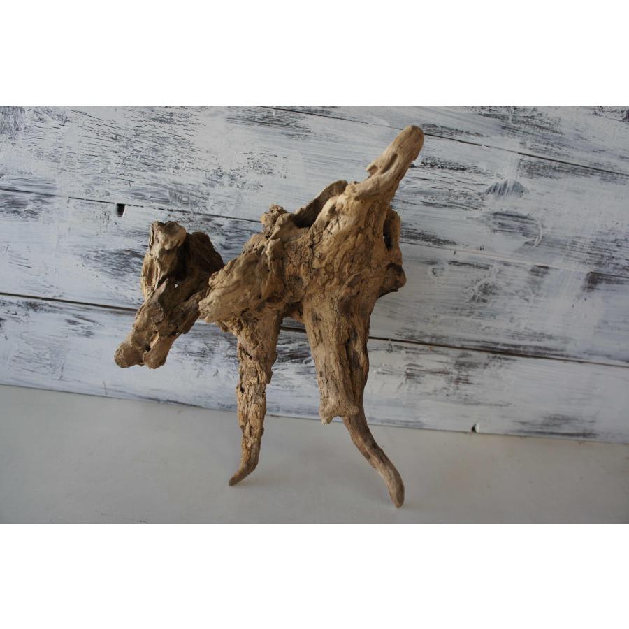 流木 テラリウム 爬虫類 登り木 あく抜き処理 煮沸消毒済 トカゲ