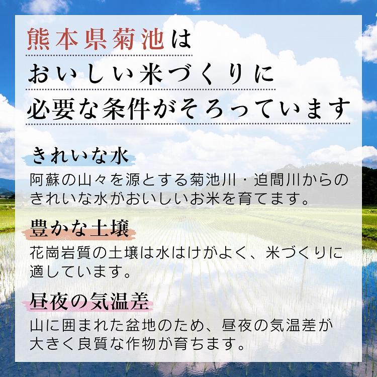 ヒノヒカリ 自然栽培米 5kg 白米 玄米 令和7年産 熊本県産 菊池 自社