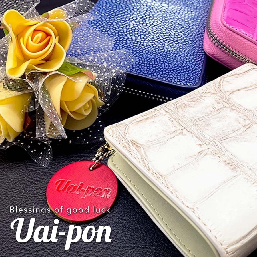 クロコダイル革 カードケース レッド / ワイン ピンク ブルー 革製品