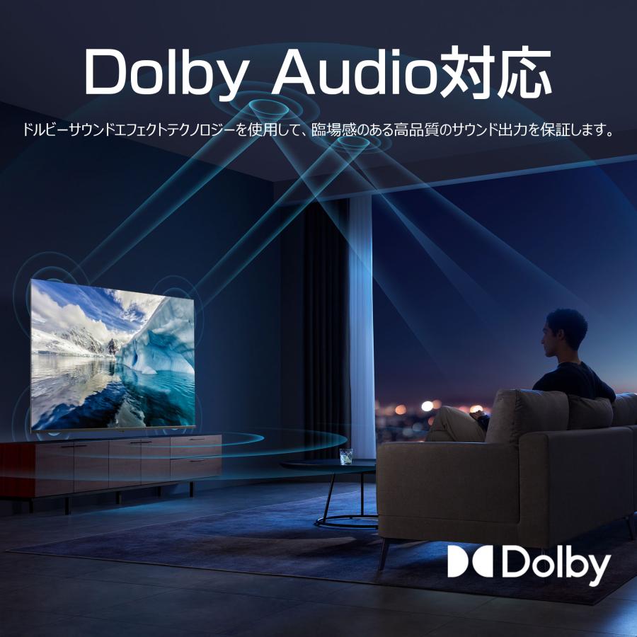 WIS 55インチ 4K Google TV搭載 チューナーレススマートテレビ 大画面