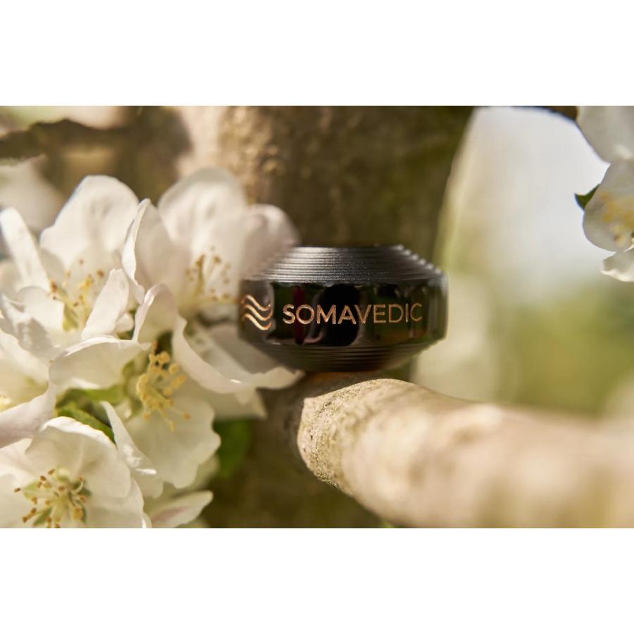 ソマヴェディック パワーブラック ポータブルボタン 持ち歩き