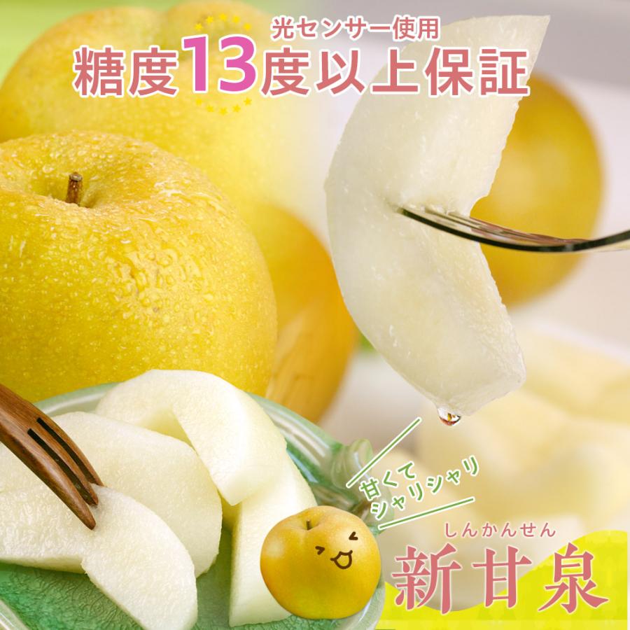 風味絶佳 梨 光センサー糖度13度以上保証 新甘泉（しんかんせん） 5kg
