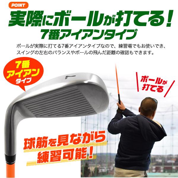 ゴルフ 練習用 アイアン しなるシャフト ( 右利き用/左利き用 から選択