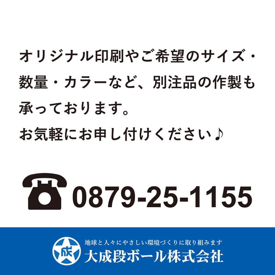 ダンボール 160サイズ 特大 ケース 宅配 段ボール 10枚 箱 業務用