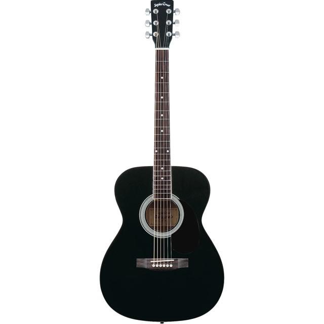 調整済 セピアクルー FG-10 FG10 アコースティックギター初心者セット