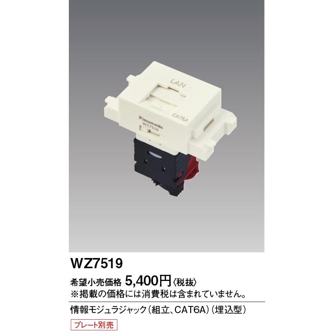Panasonic（パナソニック） [法人限定] WZ7519 情報モジュラジャック