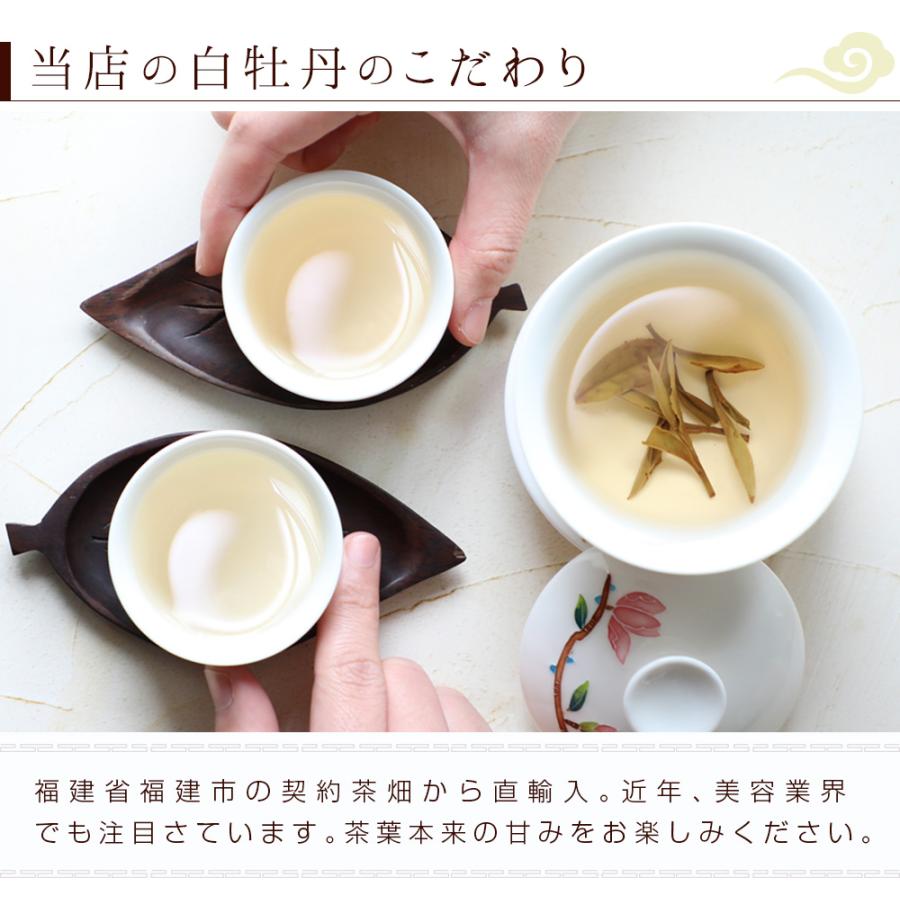 白茶 お茶 白牡丹 お試し5g×10P タブレットタイプ 茶葉 中国茶 はく