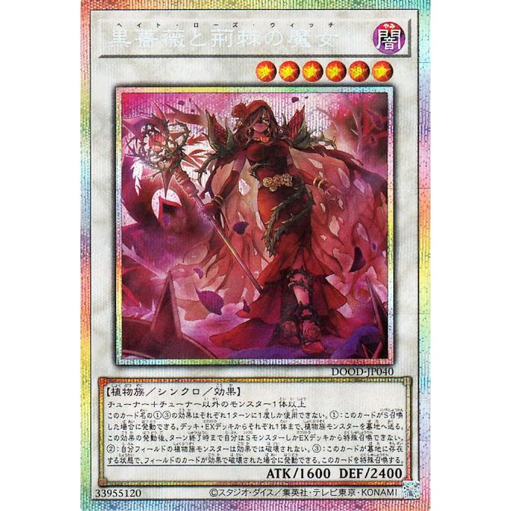 遊戯王オフィシャルカードゲーム デュエルモンスターズ 遊戯王カード