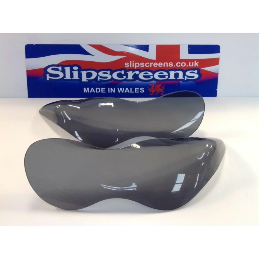 Kawasaki ZX-14R 06-11年 ヘッドライトプロテクター : 輸入パーツ専門