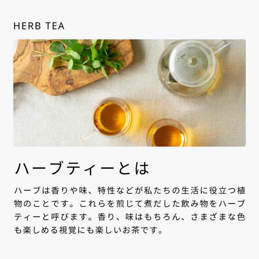 生活の木 公式 有機レモンバーベナ 7g Organic Lemon verbena