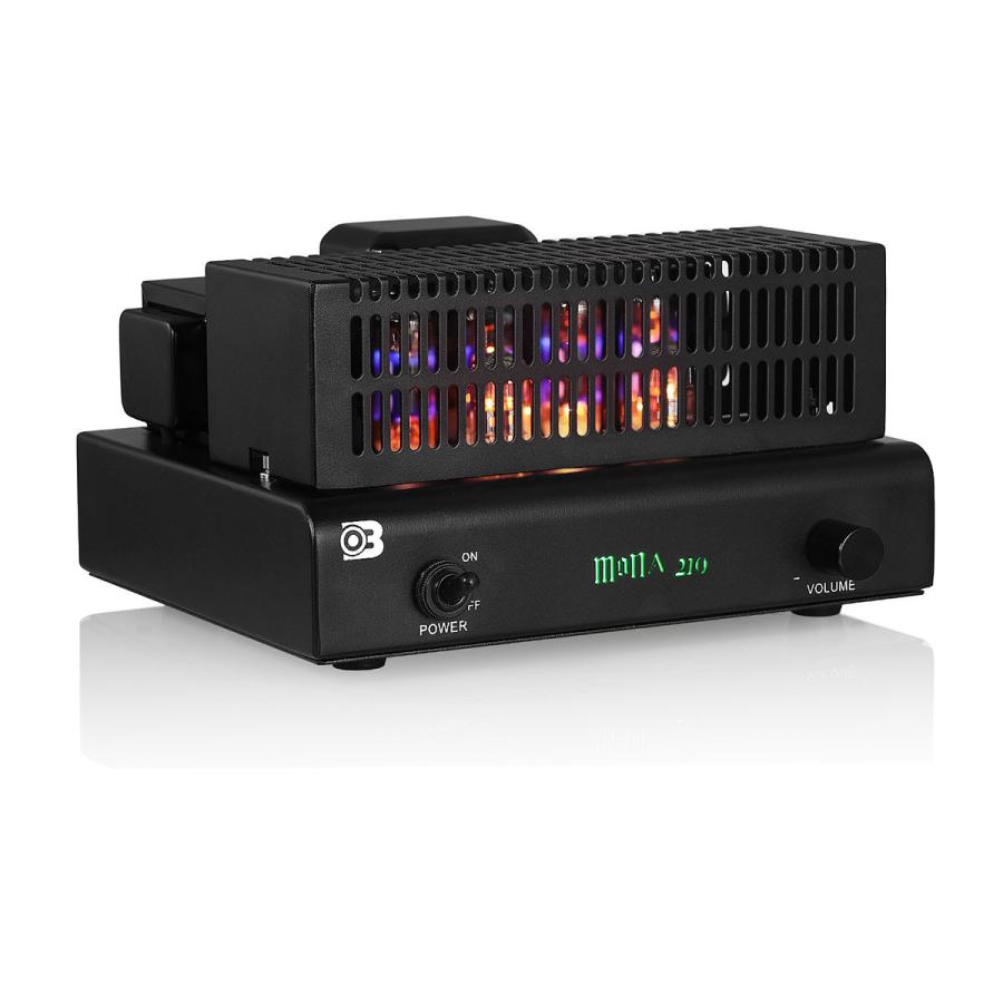 Nobsound HiFi Bluetooth 5.0 真空管アンプ ホーム ステレオ プッシュ