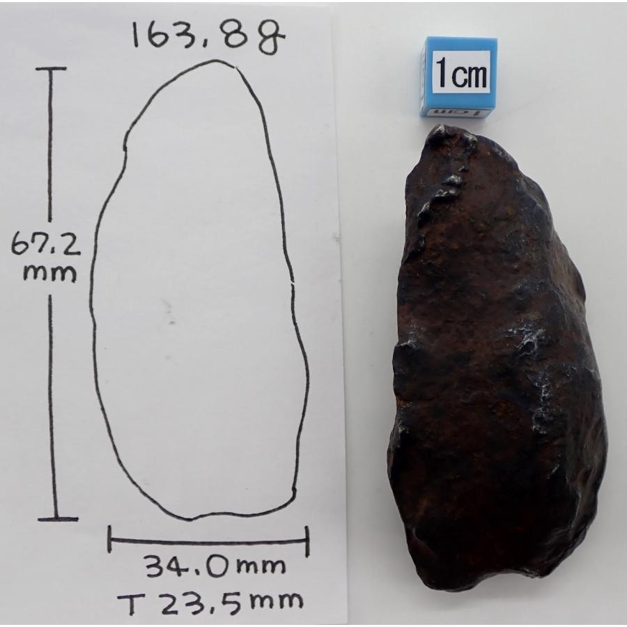 通販限定】ゲベルカミル 163.8g 鉄隕石 エジプト Gebel Kamil : 宇宙村