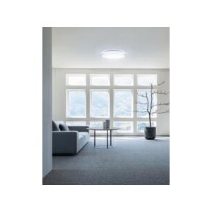 ODELIC（オーデリック） シーリングライト 【OL291579R】【OL 291 579R