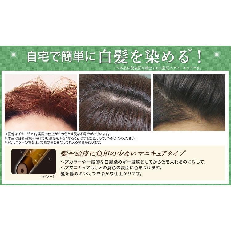 利尻 利尻ヘアカラートリートメント ライトブラウン 200g【通常配送