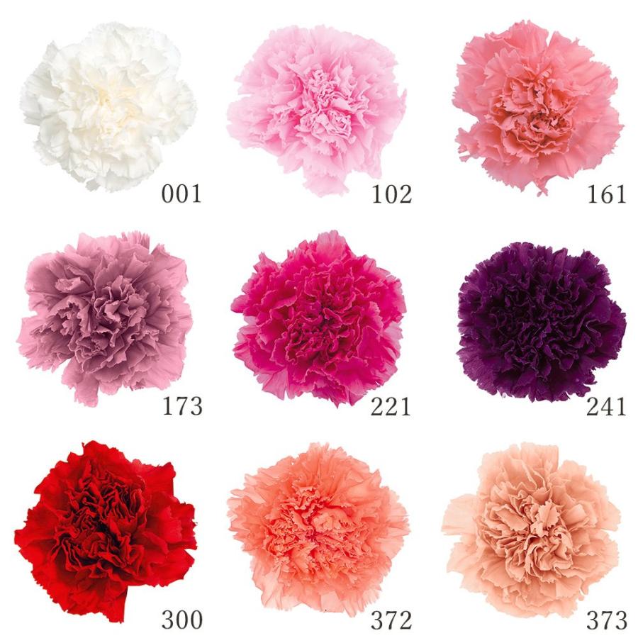 P10倍中 3/2 9:59まで】 プリザーブドフラワー 花材 とりよせ品