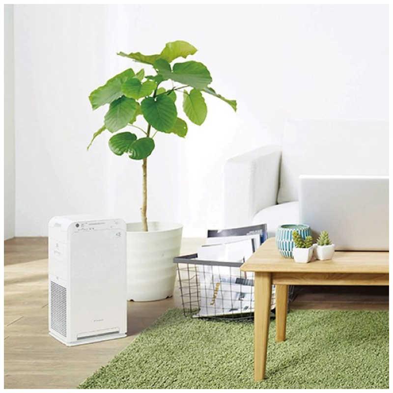 ダイキン DAIKIN 空気清浄機 ストリーマ 空気清浄:25畳まで PM2.5対応