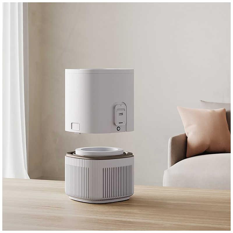 エレクトロラックス（Electrolux） 空気清浄機 UltimateHome 300 空気