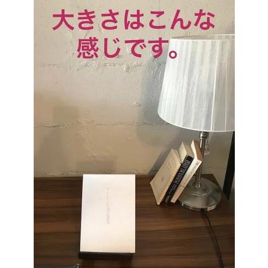 2Lサイズ写真 サイズ注意 007 スペクター レアセドゥ Lea Seydoux 約