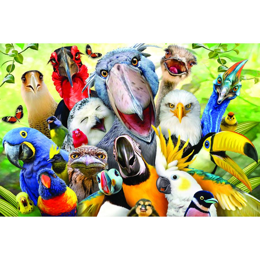 3Dジグソーパズル【鳥たちの自撮り写真】150ピース / Howard Robinson