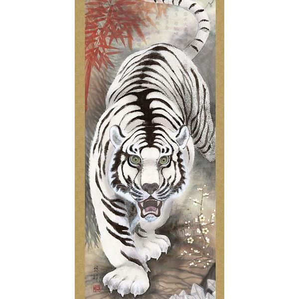 掛軸 (掛け軸) 消災白虎朱竹之図 加納悠峰 （尺三立・紙箱入り）約横