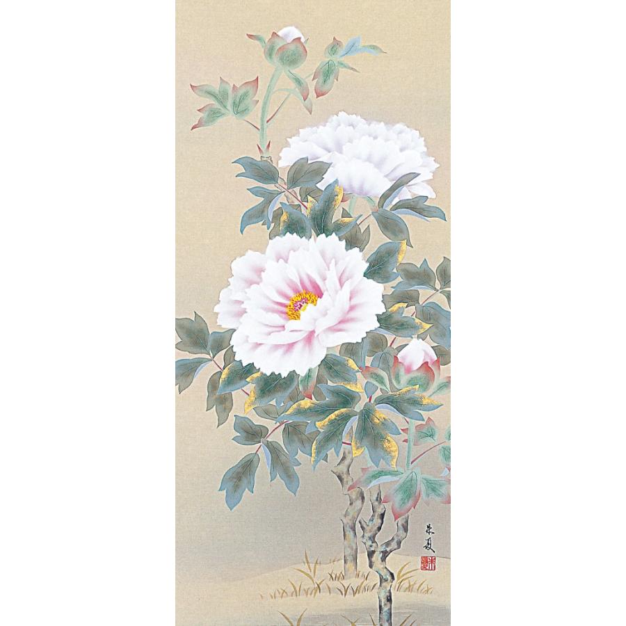 掛軸 (掛け軸) 春用 富貴花 松村朱夏 尺五立 約横54.5cm×縦190cm p9666