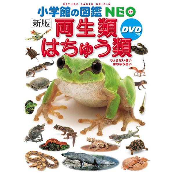 小学館の図鑑NEO［新版］両生類・はちゅう類 DVDつき（収納BOX付・送料