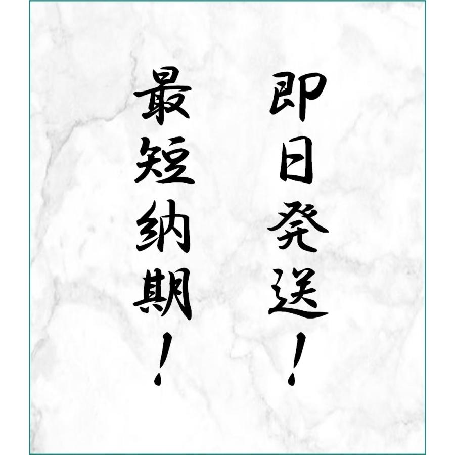 ZAZOO 国産 冷凍マウス アダルトL 28g〜35g 9cm 真空 個別包装 爬虫類