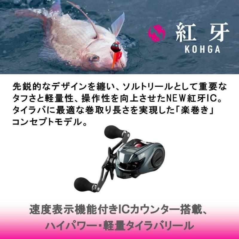 DAIWA（ダイワ） 紅牙 IC 100P−RM ／カウンター付きリール