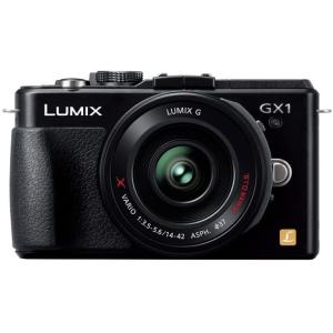 LUMIX パナソニック Panasonic ルミックス DC-GF9 12-32mm レンズ