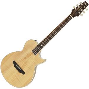 アコースティックギター 初心者 セット 台数限定 Epiphone AJ-100/VS