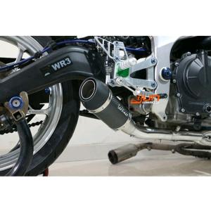 KAWASAKI ZX-25R 2023〜2024 AUSTINRACING スリップオンマフラー