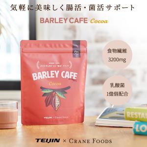 ビオライズ ビオライズブラウン 100g（焙煎玄米ファイバー ノンカフェ