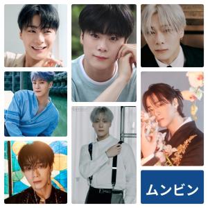 ムンビン ASTRO アストロ ポストカードセット 韓流 グッズ ar072-1