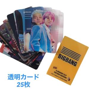 テソン D-LITE ビッグバン BIGBANG A4 クリアファイル 韓流 グッズ