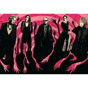 初回生産限定盤 三方背ケース収納 DIR EN GREY 3DVD/TOUR22-23
