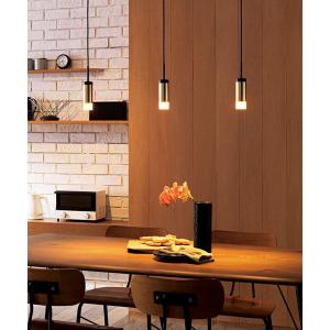 ODELIC（オーデリック） ダクトレール用ペンダント OP252783BR