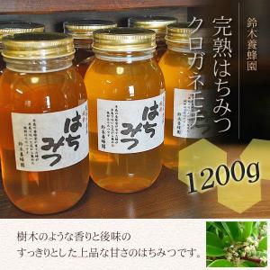 鈴木養蜂園・はちみつ生産直売店 - Yahoo!ショッピング