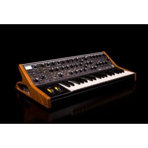 MOOG モーグ Subsequent 37 2ノートパラフォニックアナログ