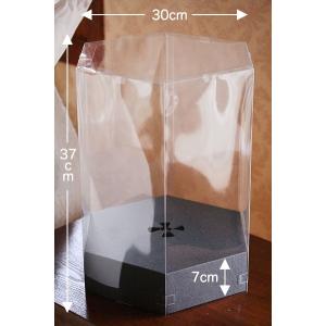 アレンジ用クリアケース（クリアボックス） ヘクサ | クリアケース