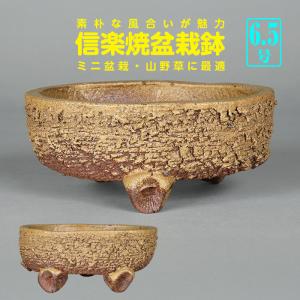 盆栽鉢 静和富造3号反型丸鉢 色鉢 磁器 9cm 小品盆栽 ミニ盆栽 山野草