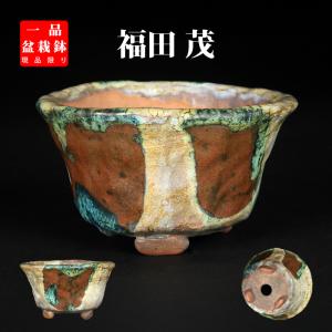 盆栽鉢 色鉢 緑釉外縁胴紐楕円鉢 陶器 4号 11cm グリーン 小品盆栽