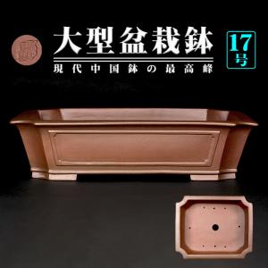 盆栽鉢 紫泥外縁隅切額面長方鉢 植木鉢 中国鉢 張氏製陶 落款あり 18号