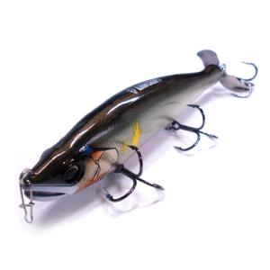 カイテン ガンクラフト カイテン 178 菊元俊文SPカラー : バック