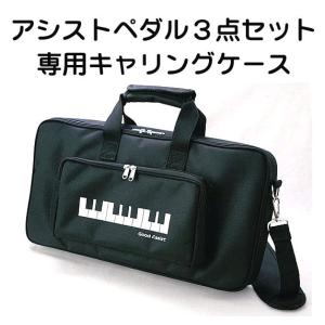 吉澤 【its】2023年秋・改良最新型入荷！YOSHIZAWA Newアシスト